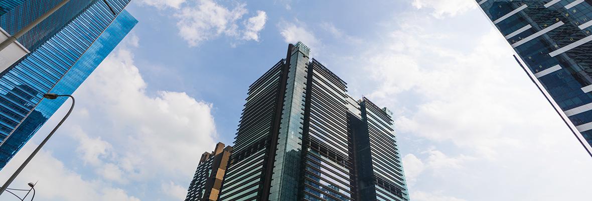 company profile